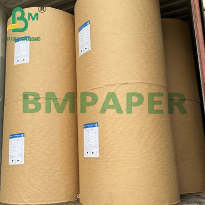 230gsm + 15g Beyazlatılmış PE Kaplamalı Kraft Kağıt Rulosu Bardaklık Kağıdı İçin