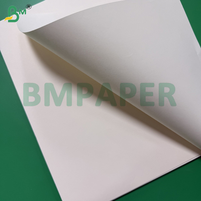 80gsm Kalın Kitap Kağıdı Ofset Baskı İçin Renkli Krem Fildişi 61x86cm