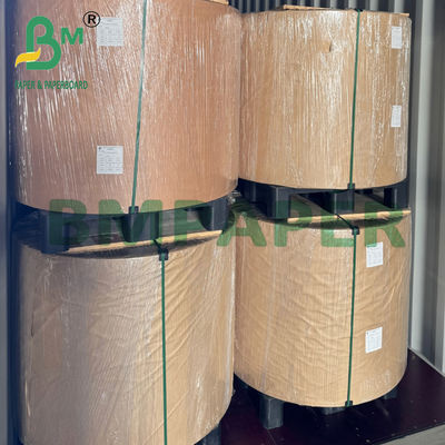 260/275gr Mikrodalga Kasası 2 taraflı PE Kraft Kağıdı Öğle yemeği kutusu için