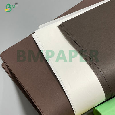 35gsm Odorless Cupcake Paper In Roll FDA  SGS for Air Fryer Cooking Oven Use