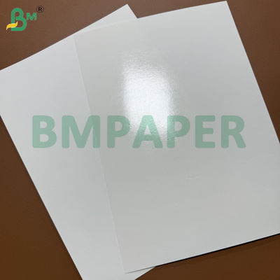 230gsm Bardak Kağıdı + 15g Tek Taraf PE Kaplama 60 X 40cm Tabakalar