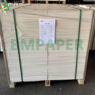 230gsm Bardak Kağıdı + 15g Tek Taraf PE Kaplama 60 X 40cm Tabakalar