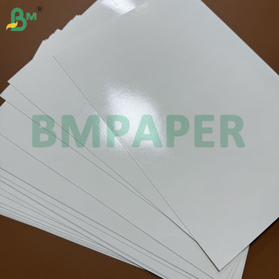 230gsm Bardak Kağıdı + 15g Tek Taraf PE Kaplama 60 X 40cm Tabakalar