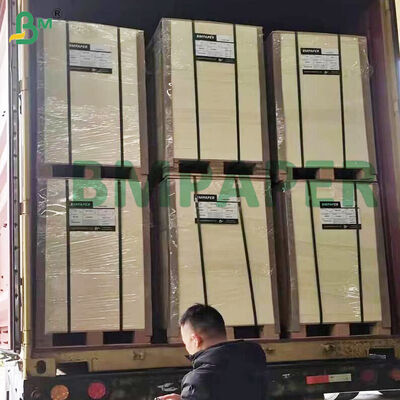 Yüksek Emici Hamur Kartonu 0.4-2.0mm Bira Altlığı Kartonu Doğal Beyaz