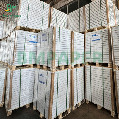 75gm Kendiliğinden Karbonsuz Kağıt A4 / Harf Boyutunda - Mavi veya Siyah Kopya