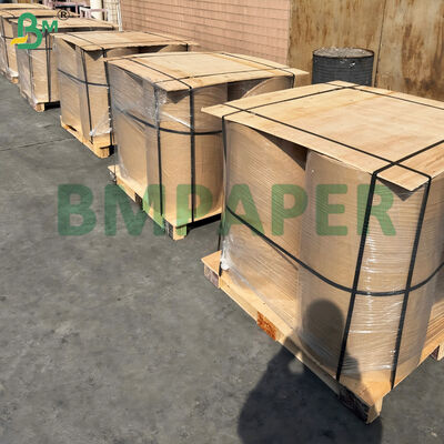 Soğuğa Dayanıklı Termal Kağıt Soğuk Depolama ve Dış Mekanlar İçin Donmaya Karşı Korumalı