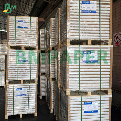 Karbonsuz Taban Kağıdı Çoklu - Renkler CF CFB CB Duble Form İçin