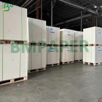 Sıcak İçecek Bardakları, Kaseler, Gıda Kapları İçin Gıda Sınıfı PE Kaplı Kraft Kağıt Bardak Kağıdı