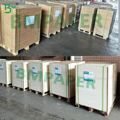 Sıcak İçecek Bardakları, Kaseler, Gıda Kapları İçin Gıda Sınıfı PE Kaplı Kraft Kağıt Bardak Kağıdı