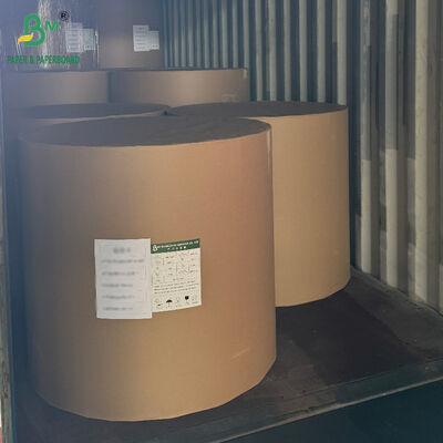 Dondurulmuş Gıda Paketleme Kutuları İçin 18PT 24PT PE Kaplamalı CCNB Karton