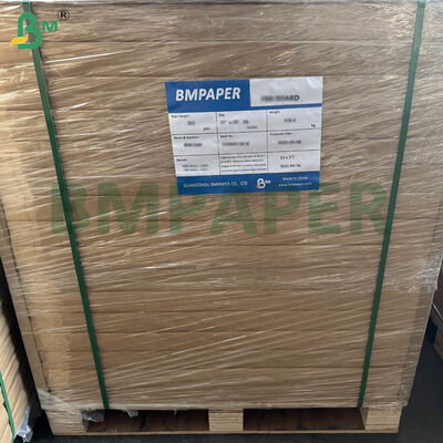 Gıda Sınıfı Sertifikalı Kahve Filtre Kağıdı Yaprakları, Ev ve Ticari Demleme İçin Geniş Boyut ve Çift Gramaj Seçenekleriyle