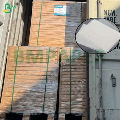 Gıda Sınıfı Sertifikalı Kahve Filtre Kağıdı Yaprakları, Ev ve Ticari Demleme İçin Geniş Boyut ve Çift Gramaj Seçenekleriyle