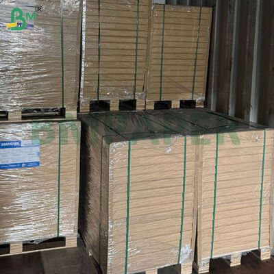 Gıda Sınıfı Sertifikalı Kahve Filtre Kağıdı Yaprakları, Ev ve Ticari Demleme İçin Geniş Boyut ve Çift Gramaj Seçenekleriyle