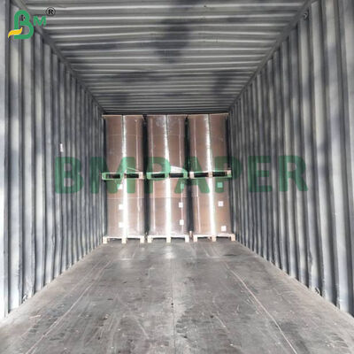 Şeffaf Renkli Gıda Ambalaj Kağıdı 23gsm Pişirme / Cheesecake Linerları İçin