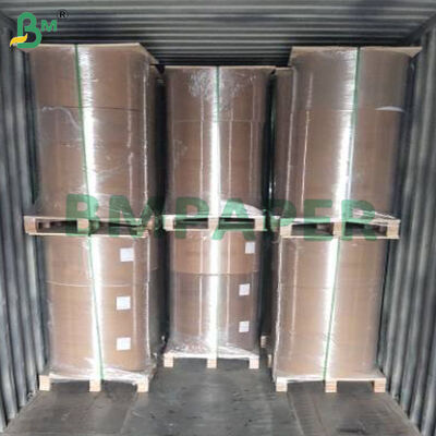 Yağsız Pişirme Kağıdı (Airfryer, Buharlı Pişirici, Fırın İçin, Beyaz & Doğal)