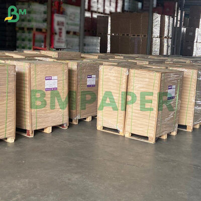 Yağsız Pişirme Kağıdı (Airfryer, Buharlı Pişirici, Fırın İçin, Beyaz & Doğal)