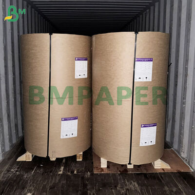 Coffee Filter Paper Base Paper For Coffee Cone, Basket, Sleeve