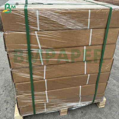 A0 Geniş Format CAD Çizici Kağıt Ruloları 80gsm | 914mm × 50m, Karton Başına 5 Rulo