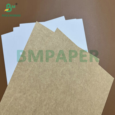 Dondurulmuş gıda kutuları ve fırın ambalajları için gıda sınıfı kaplı 365gm Kraft Back Board (CKB)