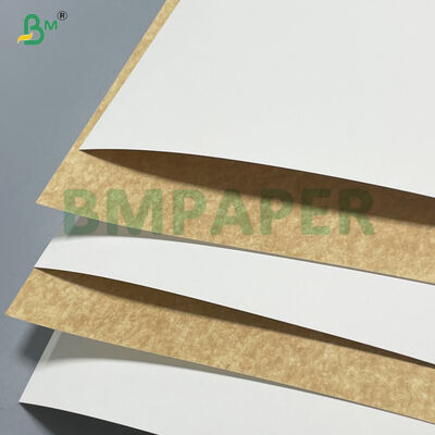 Gıda Kapları İçin %100 Saf Odun Hamuru 280gsm 300gsm Beyaz Kaplamalı Kraft Karton