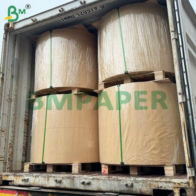 WTKB Gıda Tablosu Doğrudan Gıda Paketleri İçin Bir Yolu Beyaz Kaplı Kraft Tablosu
