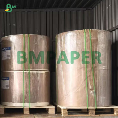 Oil - Proof 35gsm 40gsm PE Coated kraft Paper For Wrapping Bag