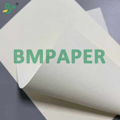 60gsm 70gsm Yüksek Kaliteli Woodfree Kaplamasız Ofset Kağıt 610mm X 860mm