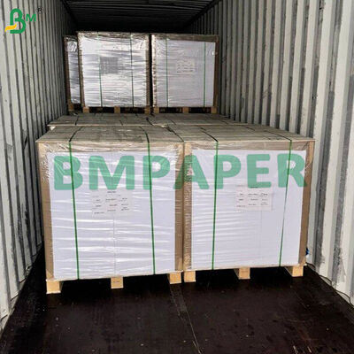 0.012" Caliper C1S Sabit Beyazlanmış Sülfat (SBS) Tütün ambalajı kartonu