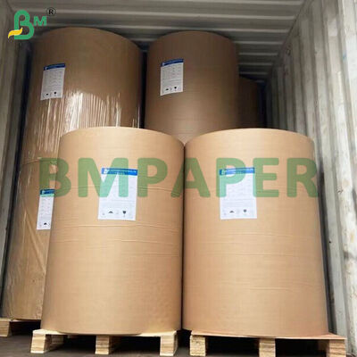 250gsm+10gsm PE Coated Cup Base Paper Sheets for Make Paper Cup