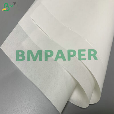 Disposable & Greaseproof Heat-Resistant 35 - 40gsm Baking Paper for Oven Air Fryer
