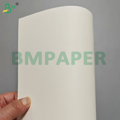 300gsm High Stiffness Food Grade Noodle Base Bowl Paper Sheets