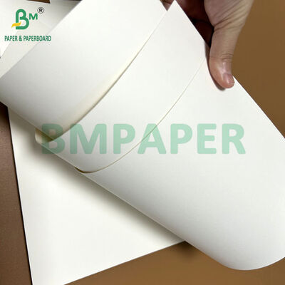 170-320gsm White Color Extruded With 15 PE Cupstock Paper in 70 x 100cm