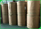100% Odun Hamuru Beyaz Kraft Kağıt Rulo Gıda Ambalaj Için 260gsm Food Grade Kağıt Kurulu