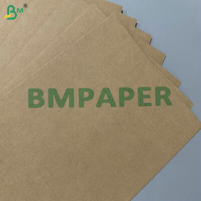 %100 Gıda Sınıfı Gres Geçirmez Kompostlanabilir Ham Madde 200gsm 300gsm Tek Kullanımlık Sofra Takımı için Şeker Kamışı Bagas Taban Kağıdı