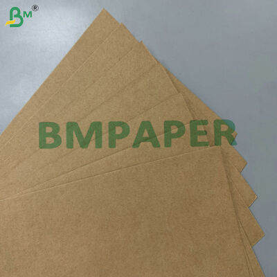%100 Gıda Sınıfı Gres Geçirmez Kompostlanabilir Ham Madde 200gsm 300gsm Tek Kullanımlık Sofra Takımı için Şeker Kamışı Bagas Taban Kağıdı