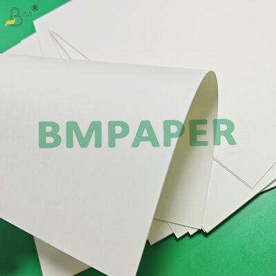 210gsm 230gsm Cup Base Paper For Beverage Cups 680mm 740mm High Stiffness