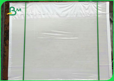 Gıda Kutusu Yapmak İçin 300 gram Beyaz PE Kaplı Fildişi Karton 50 * 70cm