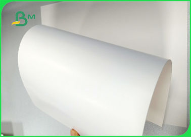 Genişliği 700 × 1000 mm İyi pürüzsüzlük 270 gm 300 gm 350 gm Fildişi Karton Paketler için