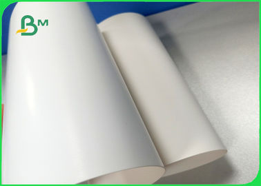 Genişliği 700 × 1000 mm İyi pürüzsüzlük 270 gm 300 gm 350 gm Fildişi Karton Paketler için