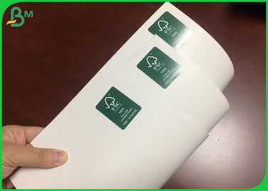 300GSM 610*860MM Beyaz Renkli C1S Katlanabilir Kutu Yapımında Fildişi Karton