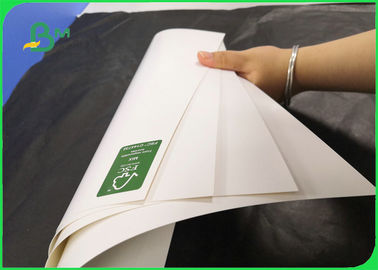 Görünmez Çorap Paketleri için Kaplı FBB Karton 350GSM 400GSM