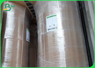 Ekolojik Bambu Kraft Kağıt Rulo 50GSM - 250GSM