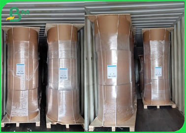 Ekolojik Bambu Kraft Kağıt Rulo 50GSM - 250GSM