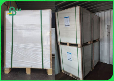 230g 300g Beyaz Fildişi Kağıt Rulo Karton İyi Baskı için