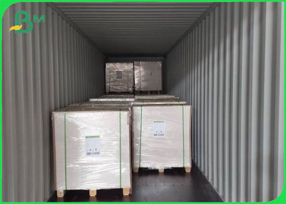 Virgin Pulp Kaplı FBB Fildişi Karton 305g / 345g Offset Baskı