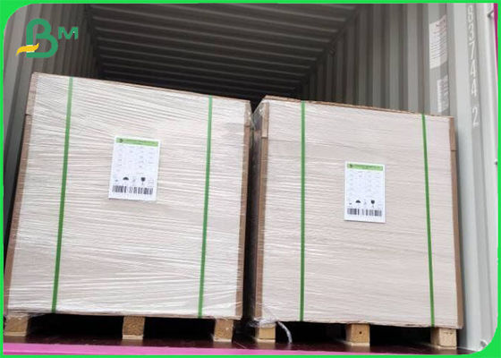 Virgin Pulp Kaplı FBB Fildişi Karton 305g / 345g Offset Baskı