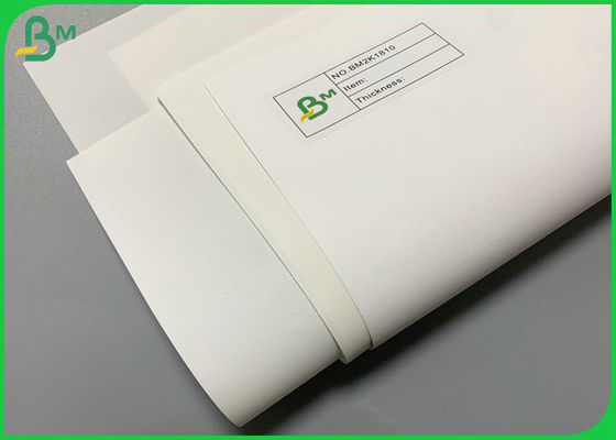 Dayanıklı Nakliye Çantası için Yırtılmaya Dayanıklı 240g 300g Taş Kağıt 787mm