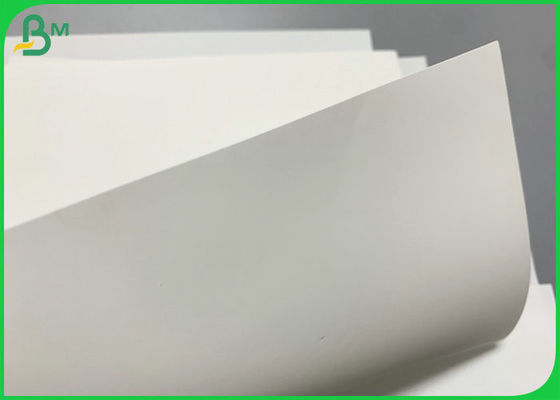 Dayanıklı Nakliye Çantası için Yırtılmaya Dayanıklı 240g 300g Taş Kağıt 787mm
