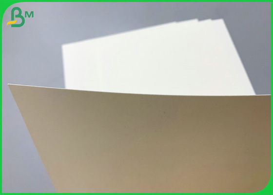 SGS Belgeli 230g 260g PE Kaplı Cupstock Taban Kağıdı 850mm Rulo