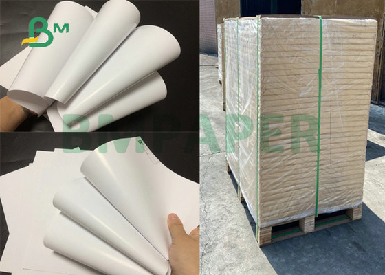 Ofset Baskı için 80# 100# 25 x 38 İnç Çift Taraflı Kaplamalı Parlak Kanepe Kağıdı